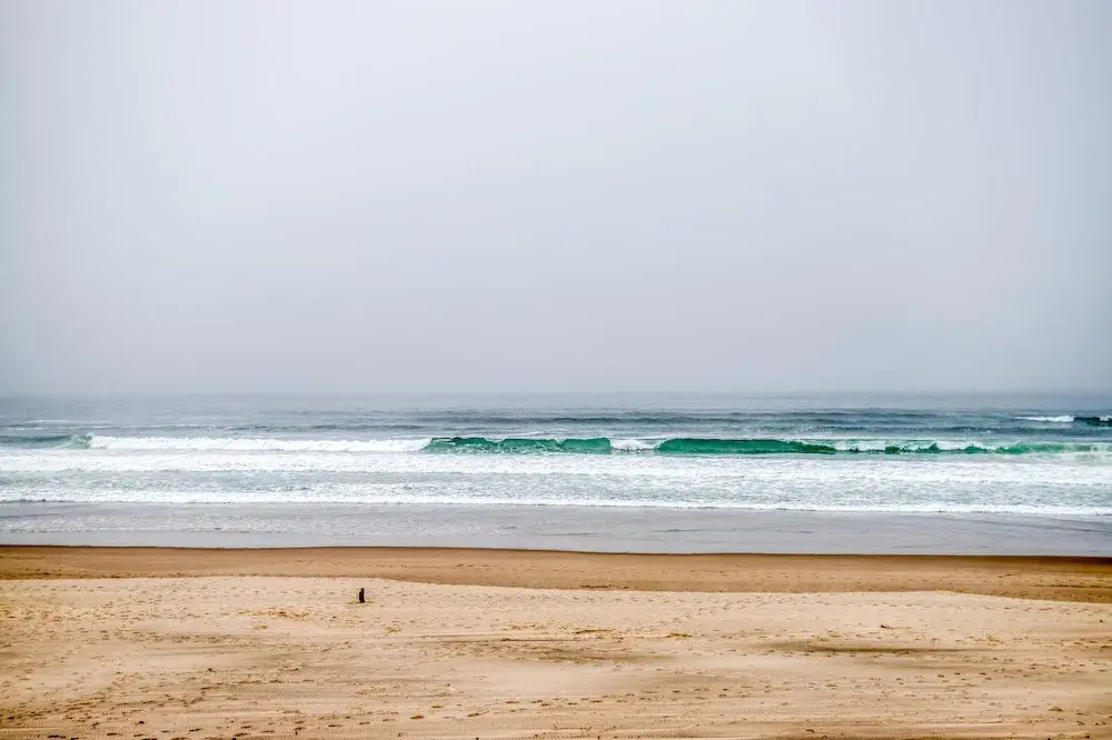 Wave Catchers