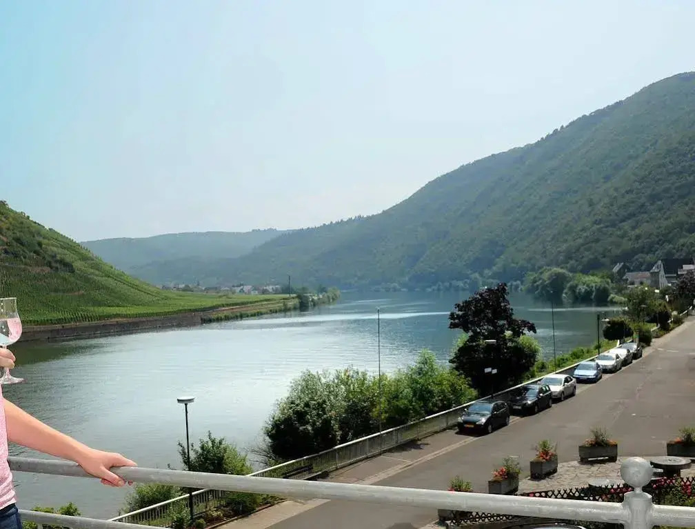 Winzerhotel zum Moselstrand