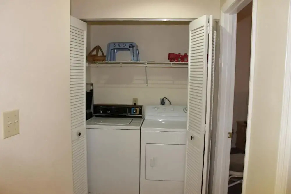 Beach Palms 505