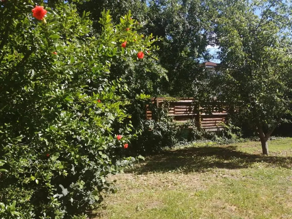 Rákos-patak Family House