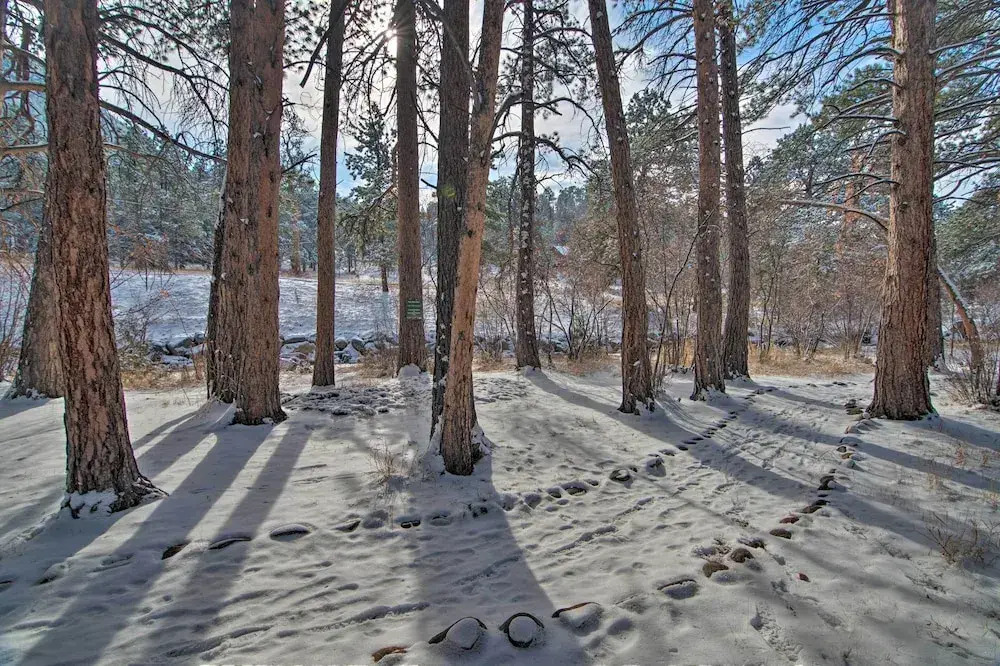 Spacious Estes Park Home on Big Thompson River!