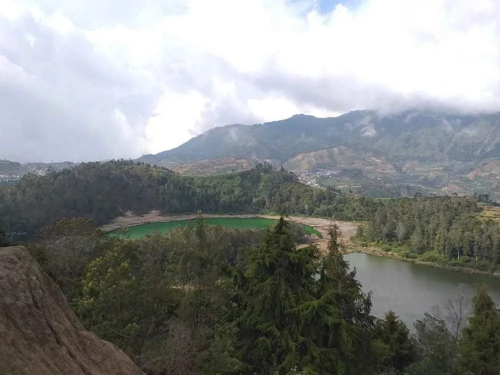 anemon dieng