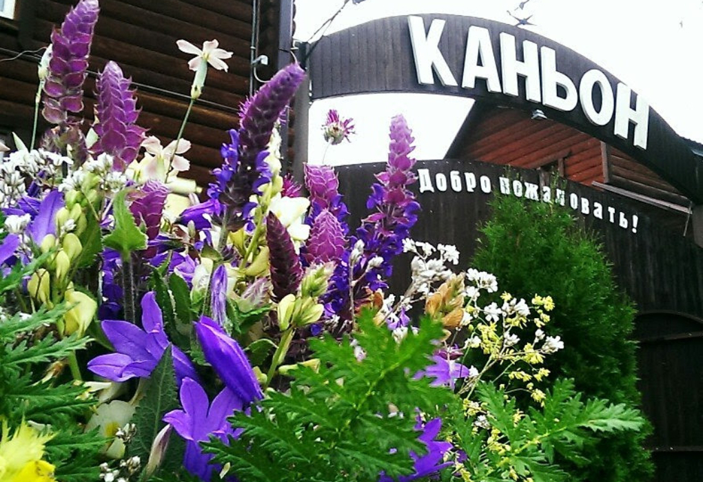 "Каньон"