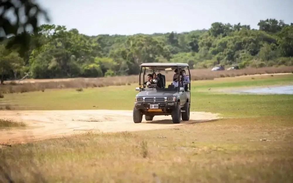 Safaria Lodge Wilpattu