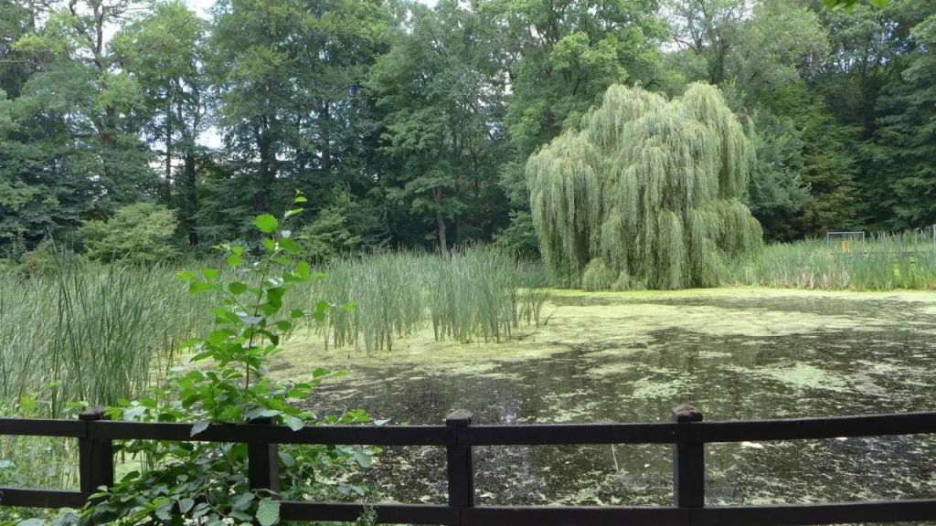 Ferienhaus Natura