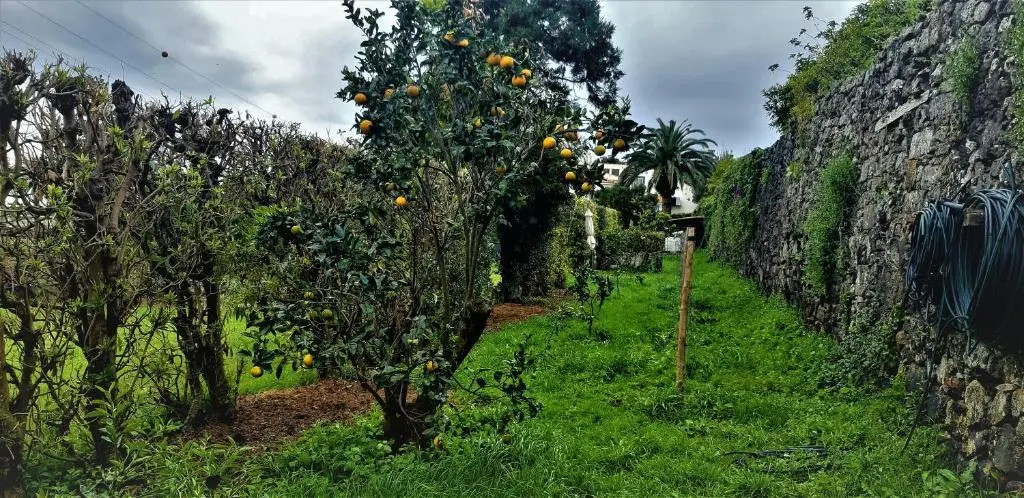 Quinta do Bom Despacho