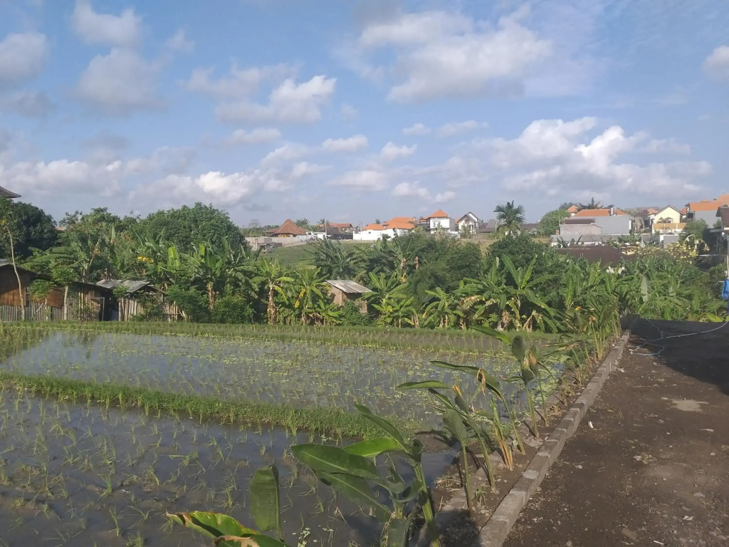 PD Bali Guesthouse
