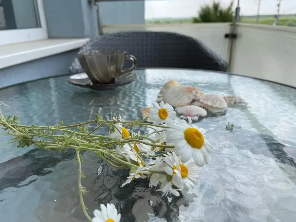 Luxory Apartaments 2