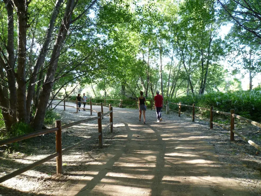 Pensión Parque Del Ebro - Adults Only