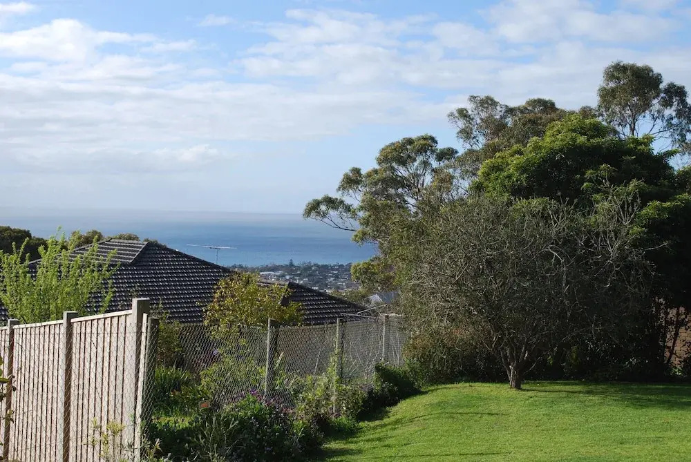 Jackson's Dromana