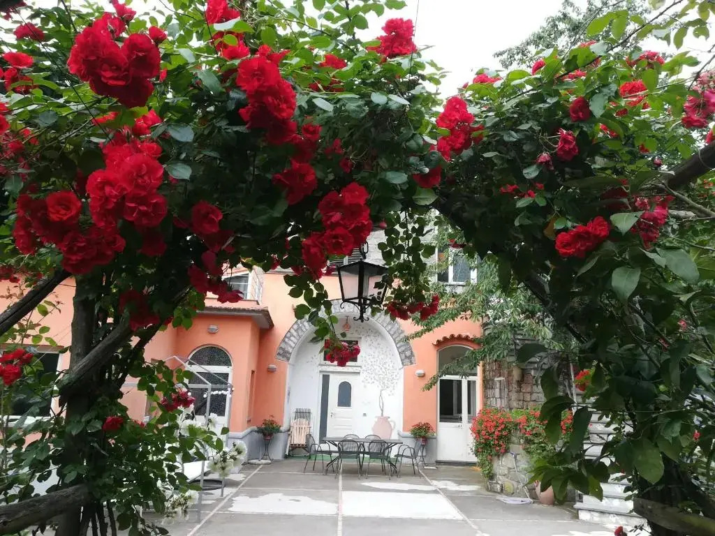 Antonio's House