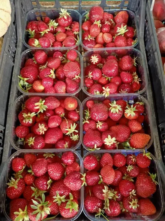 Agriturismo Il Cipresso