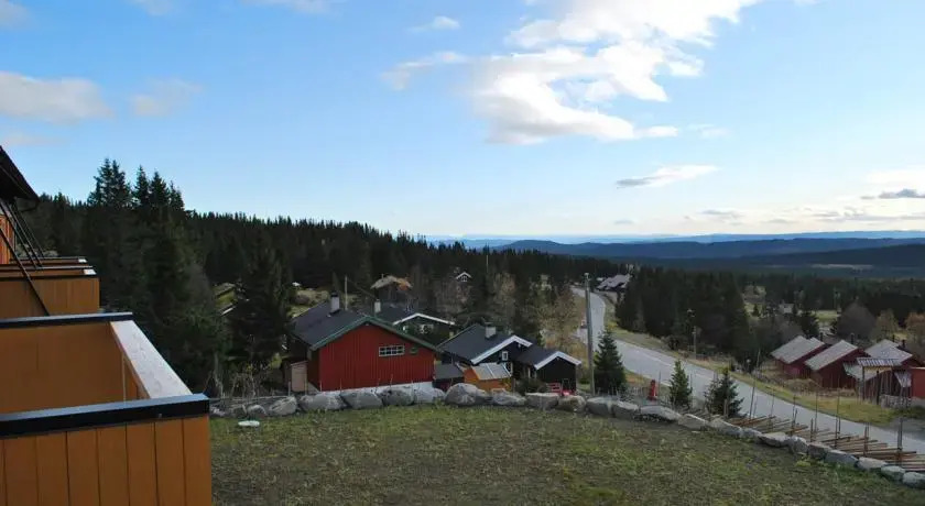 Nordseter Fjellpark, Sentrum