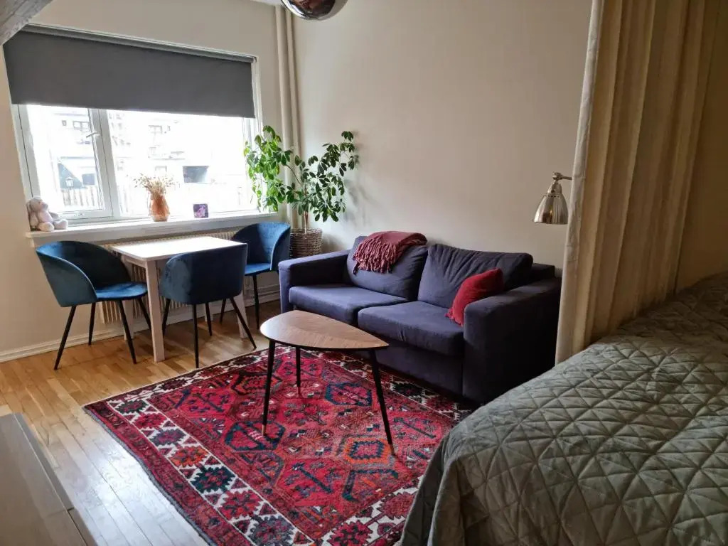 Majorstuen studio apartment