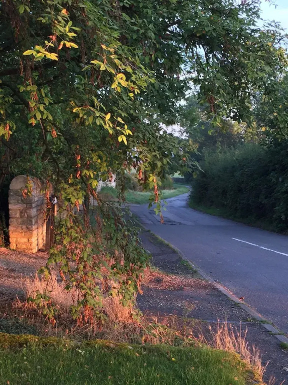 The Cherry Orchard B&B