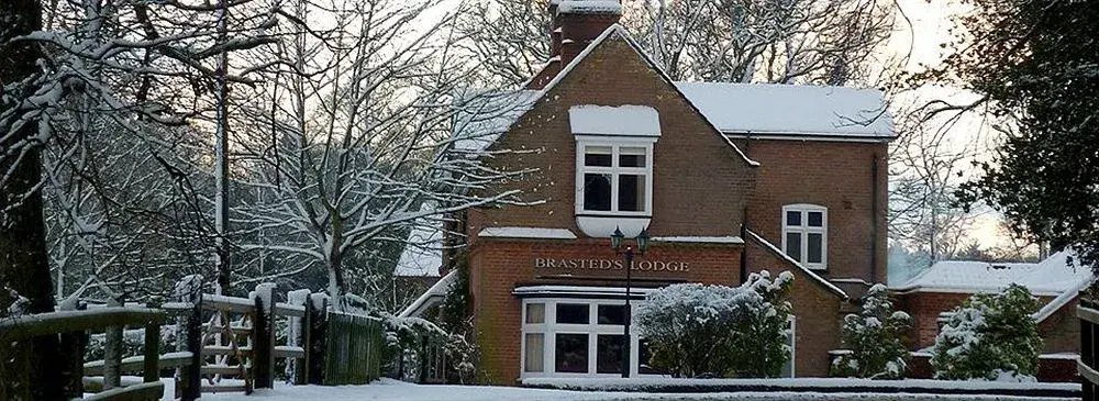 Brasteds