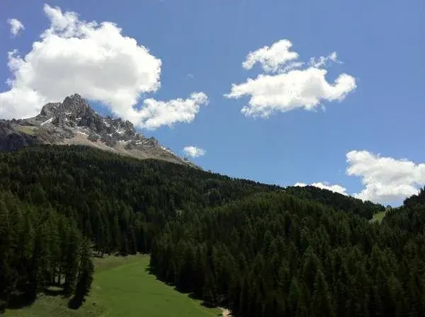 Hotel Piccolo