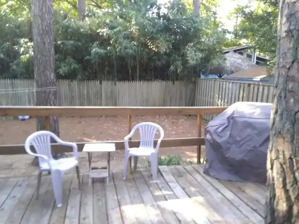 Carolina Street 204