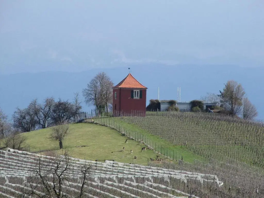 Obst- Ferienhof Ragg