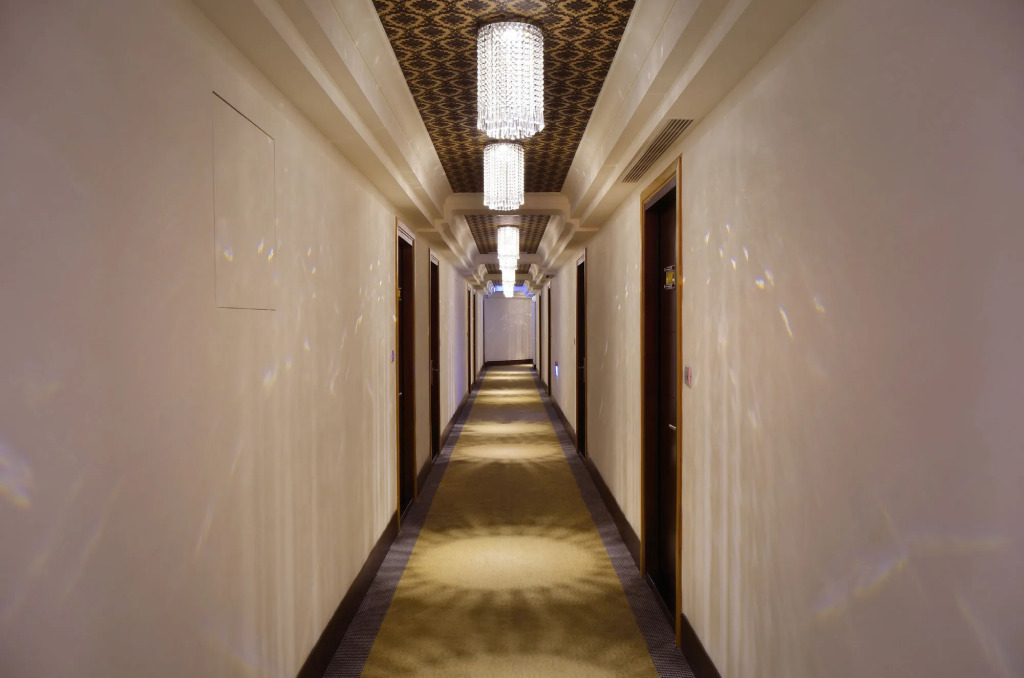 Hotel Modern Puli
