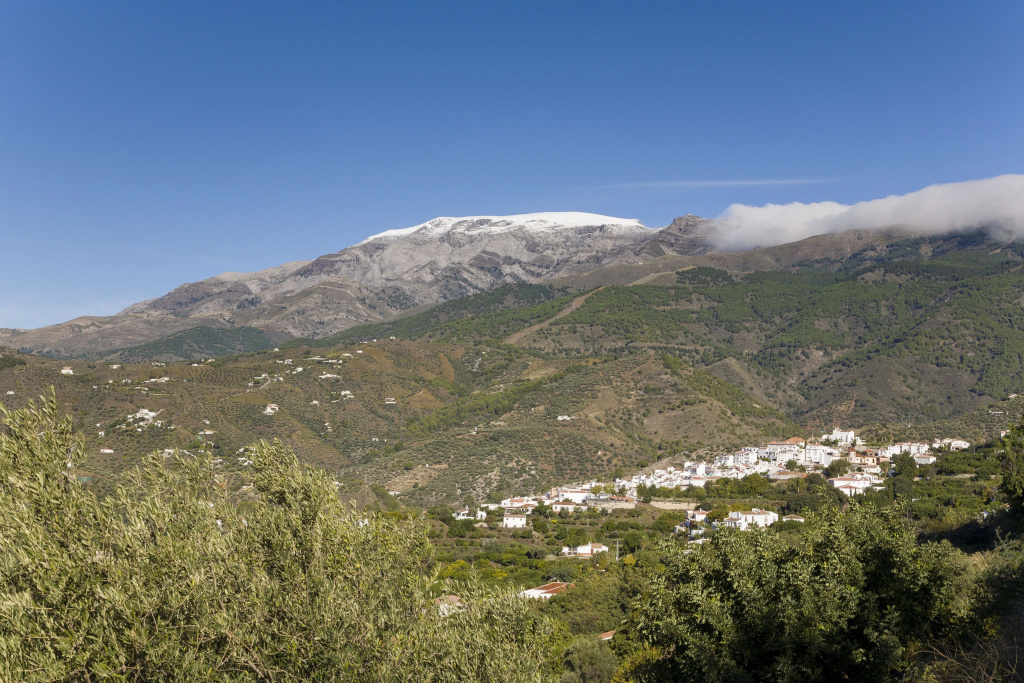 Bed&Breakfast Al Campanario