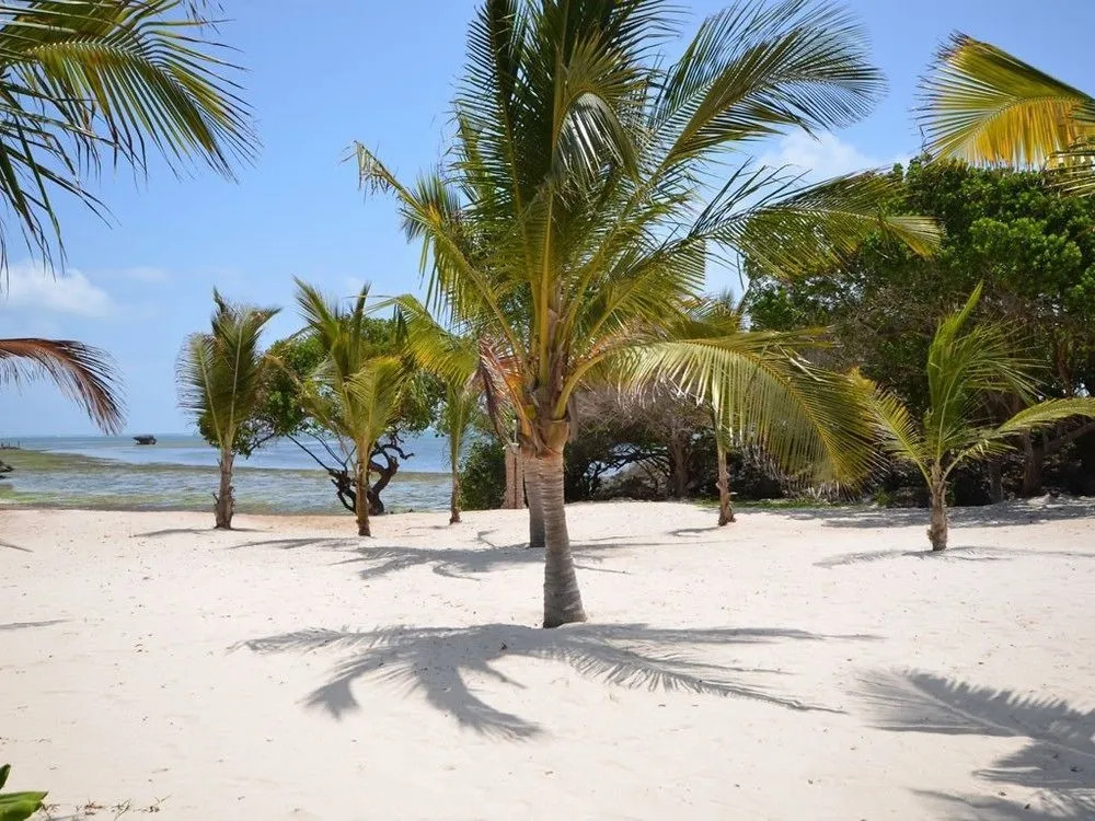 The Kasa Malindi