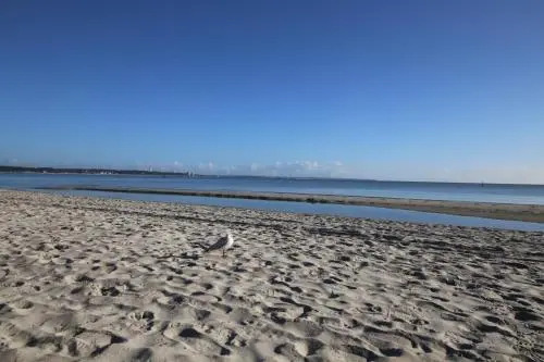 Ferienwohnung Strandhaus Hansastraße 2 App. 07