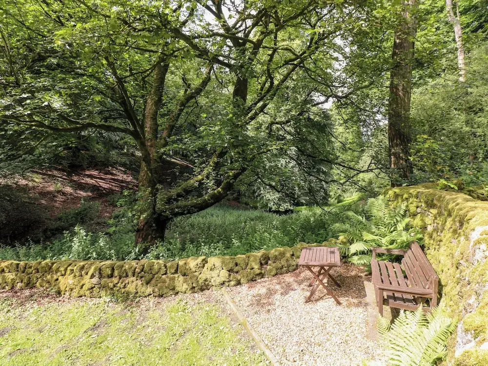 The Dell