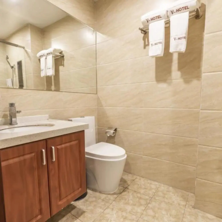 V Hotel Boutique Hotel
