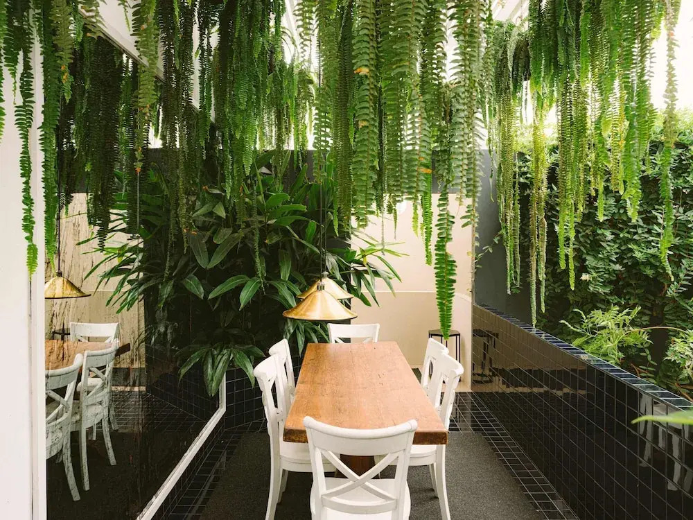 w Suite in Casa Wynwood Miraflores