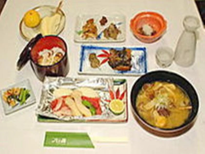 Lodge Yatsugane