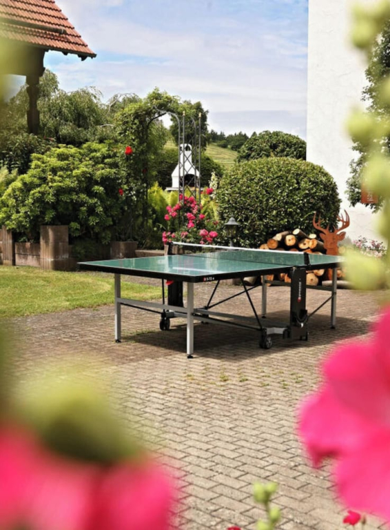 Appealing Apartment in Motten