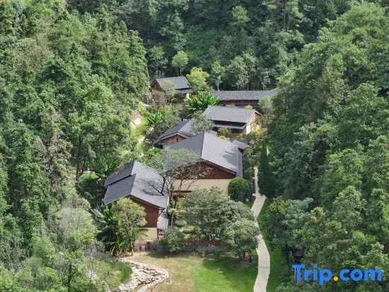 Xingsam Dongliyuan Hotels