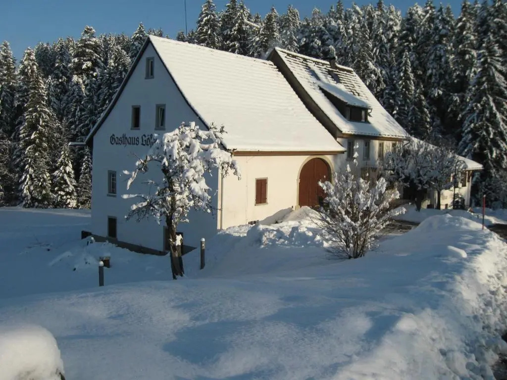 Gasthaus und Pension Löffelschmiede