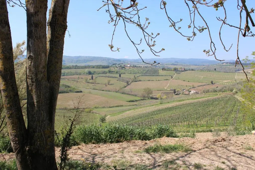 Bioagriturismo Podere Pretoia