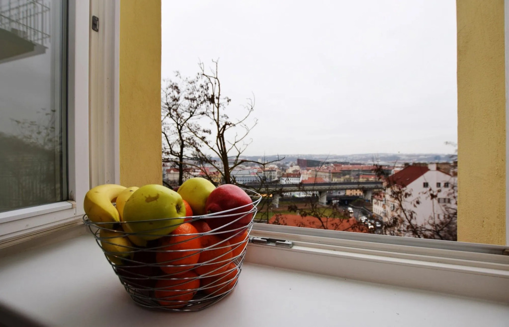 Rehorova apartments by Pragueforyou