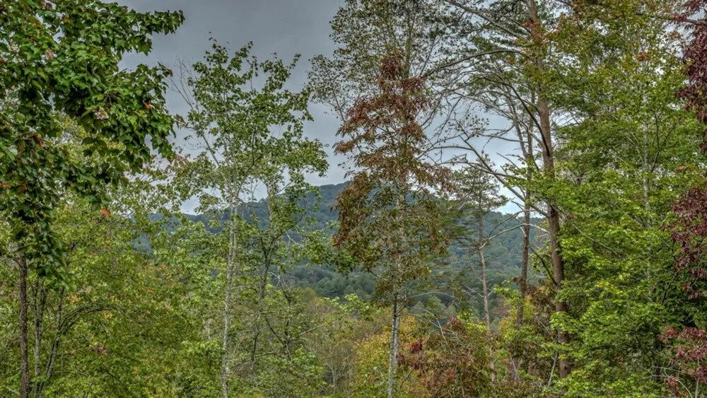 Aska Round by Escape to Blue Ridge