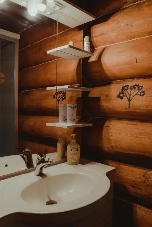 Casa din Busteni, Maramures