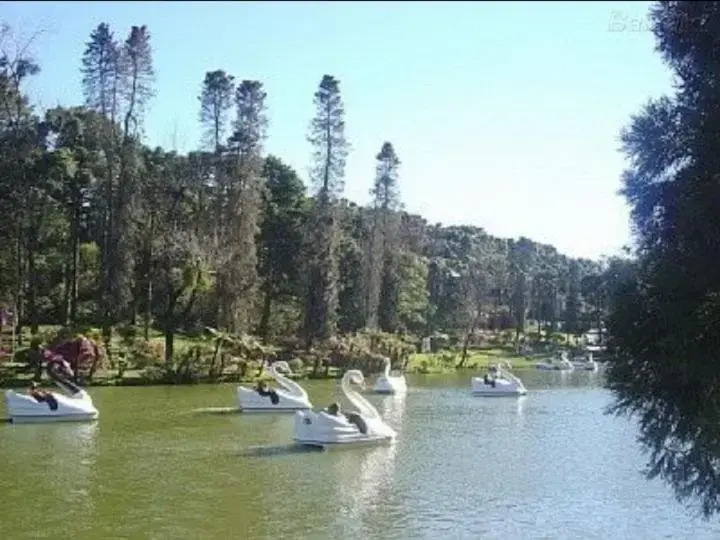 3 suites, ate 8 pessoas,Centro, gramado