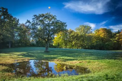 Wald Apartments bei Schlossgaststätte Hohenberg - Seeshaupt, südlicher Stanberger See, kostenfrei Parken, Ladestation für Auto und Fahrad, WLAN, Natur pur