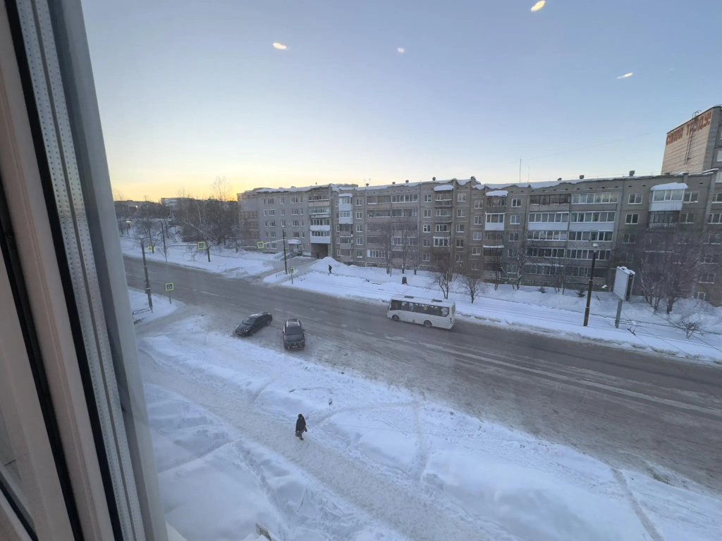 Барбарис на улице Мира 110
