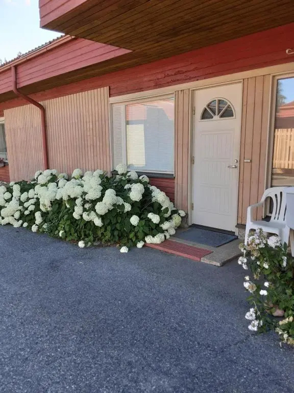 Apartment with sauna in Harjavalta, free WIFI