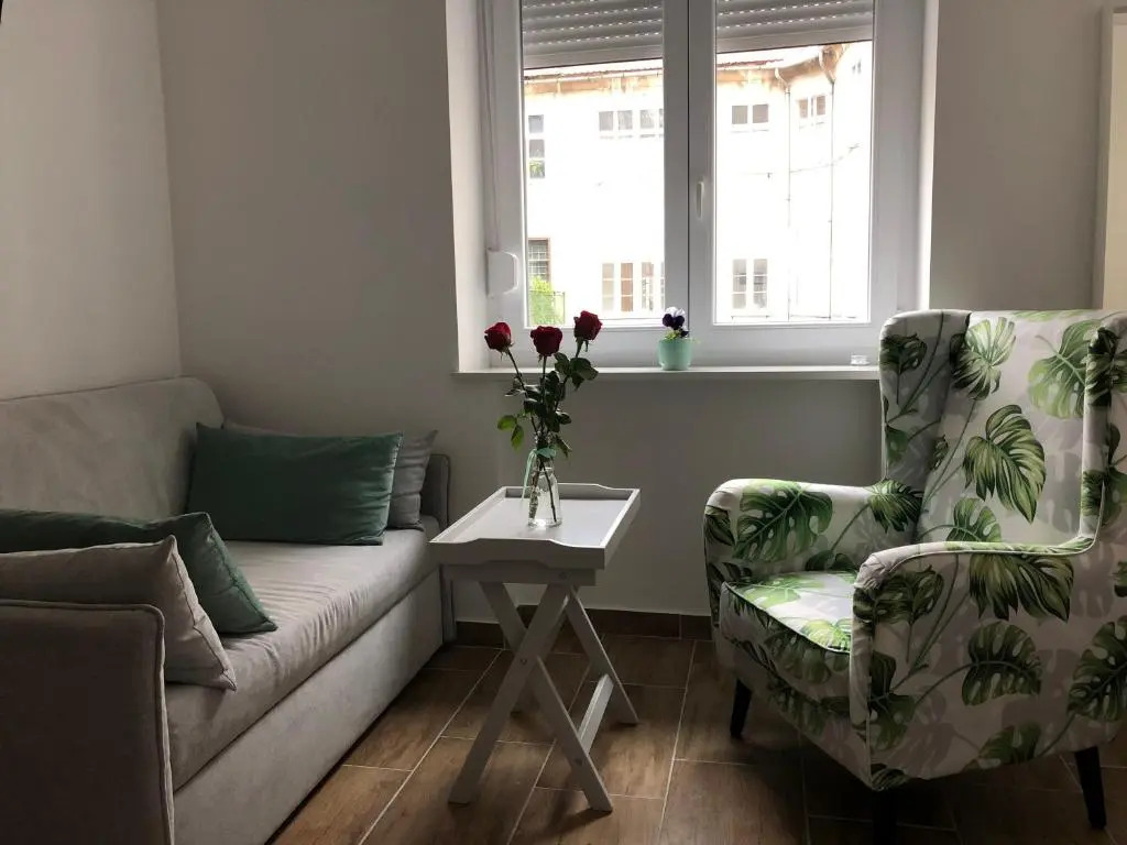 Studio apartment in center of Zagreb "Vidra"