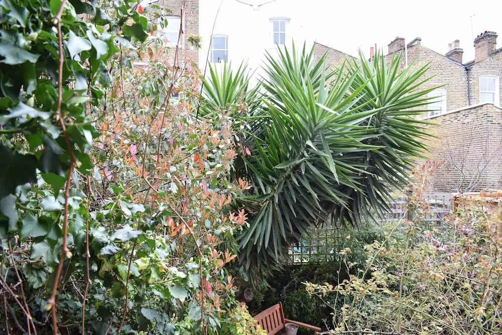 South London Flat With Balcony