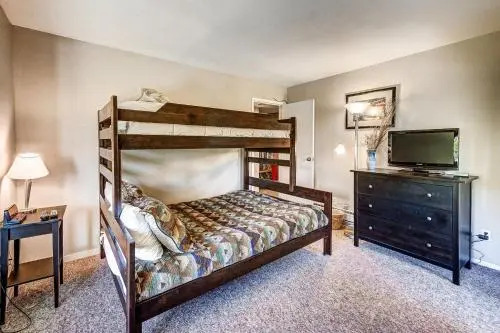 1088 Wild Irishman Condo