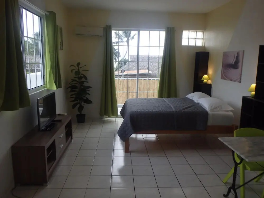 Apartment Studio Halfon
