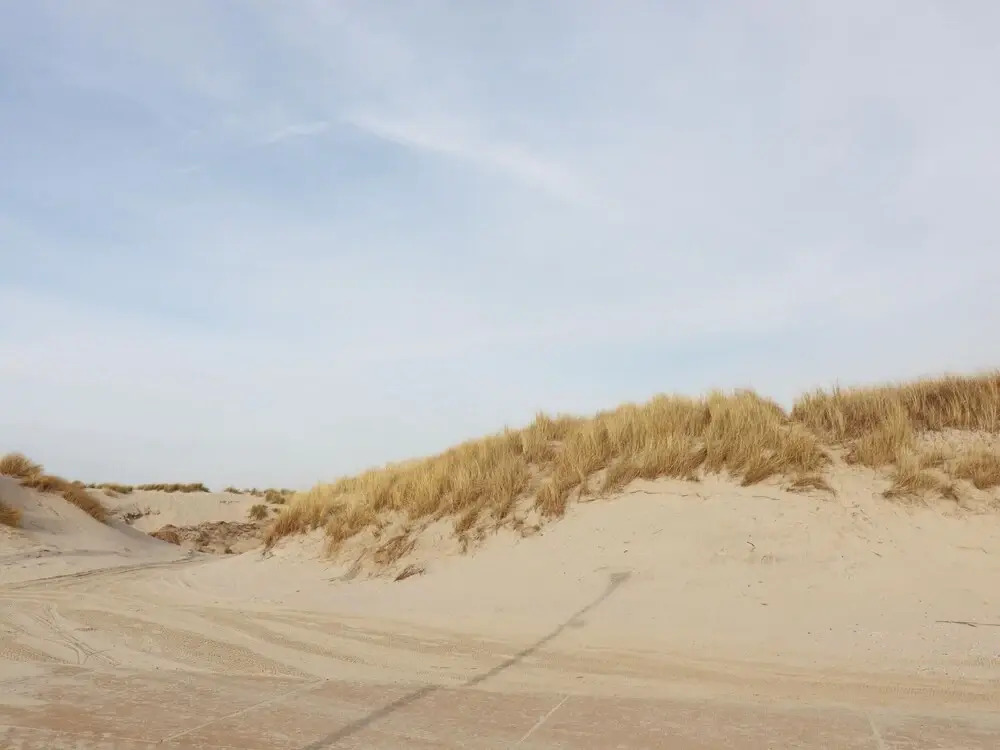 Holiday Home in Ameland by Golf Course