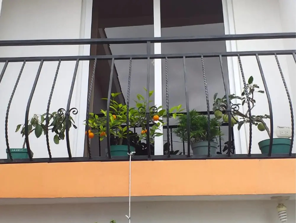 Posada Casa Bonsai