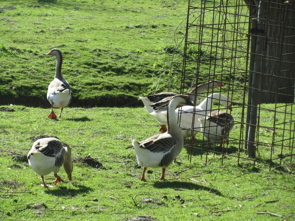Vandenstampershoek B&B