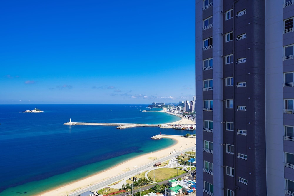UH FLAT The SOKCHO